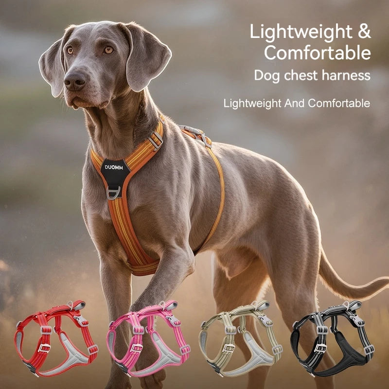 Anti Pull Dog Harness Leash Set Reflective Wear Resistant Soft Outdoor Walking Pet Chest Strap Fashion Safety Pet Supplies
