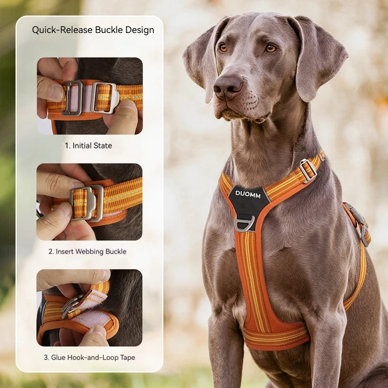 Anti Pull Dog Harness Leash Set Reflective Wear Resistant Soft Outdoor Walking Pet Chest Strap Fashion Safety Pet Supplies